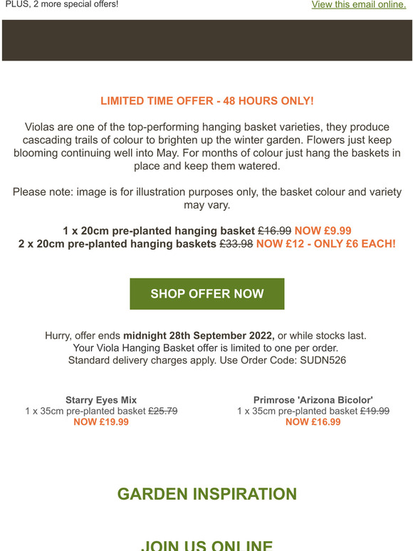 Dobies PrePlanted Winter Hanging Baskets ONLY £6 EACH! Milled