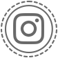 Instagram Icon