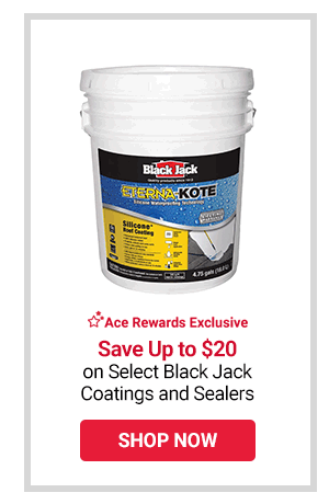 save up to $20 on select black jack coatings and sealers