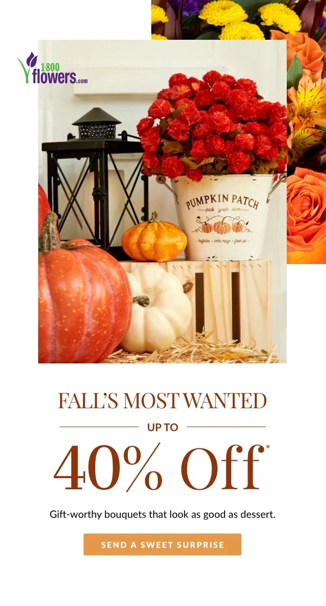 FALL'S MOST WANTED UP TO 40% OFF