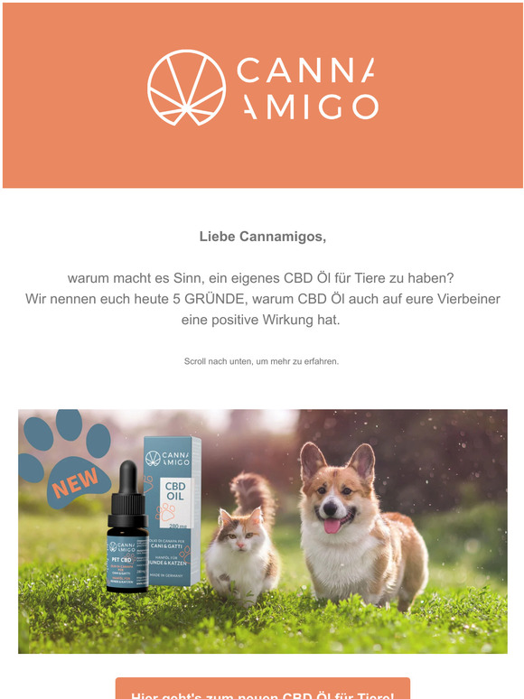 CBD Öl für Hunde & Katzen