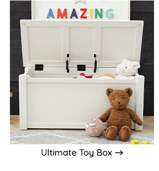 ULTIMATE TOY BOX