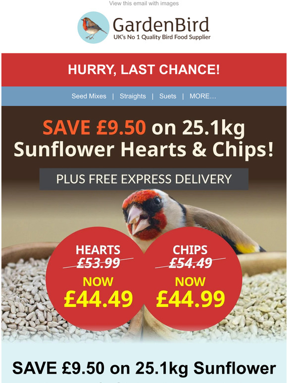 50kg sunflower hearts