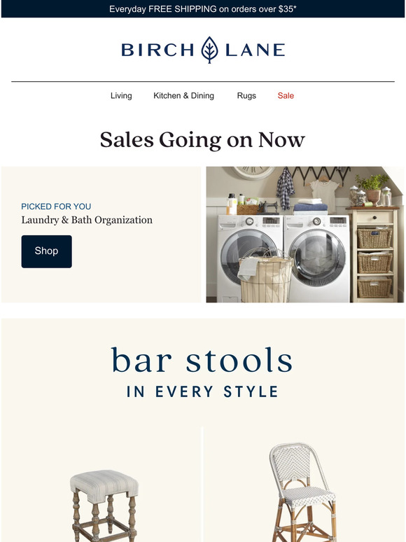 Birch Lane The perfect laundry room for less. Storage & organization