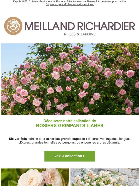 Sitemapcdatahttpsmodeinf Inetcommeilland Richardier Catalogue 2022