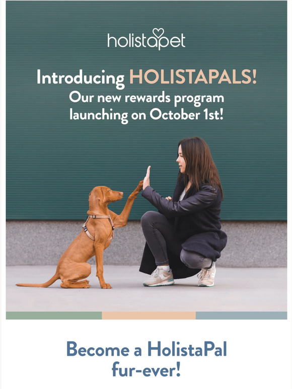HolistaPals is coming! 😸