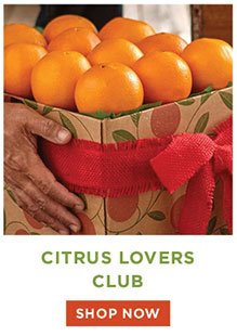 Citrus Lovers Club