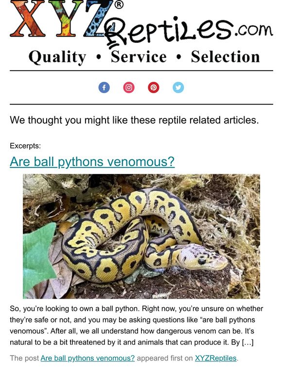 🐍🐢🐊 Articles From XYZReptiles