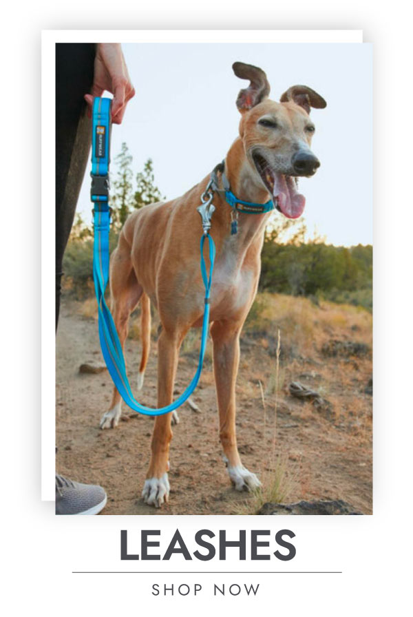 Shop Leashes