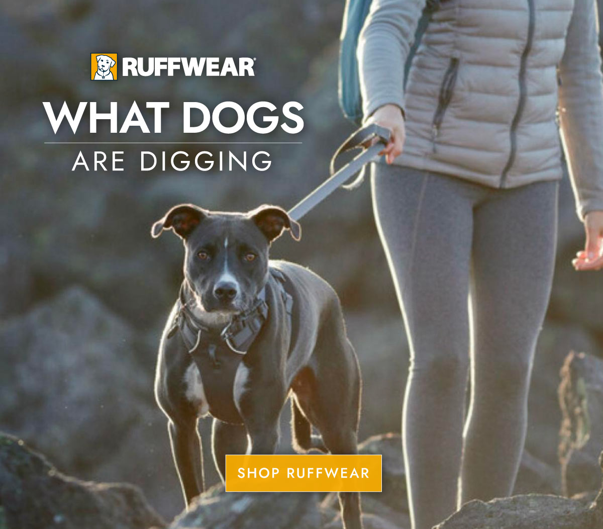 Shop Ruffwear