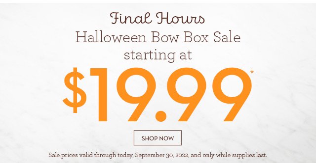 Final Hours - Halloween Bow Box Sale starting at $19.99*
