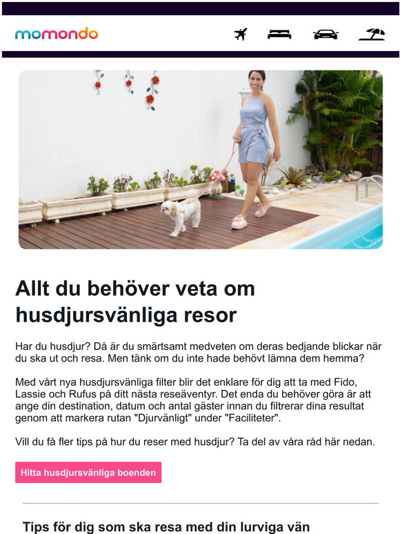 Veckans mejl handlar om våra fyrfota vänner