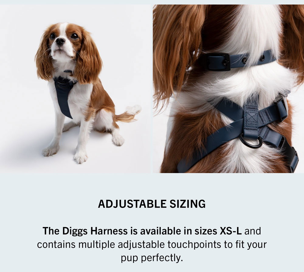 Classic Harness - Diggs