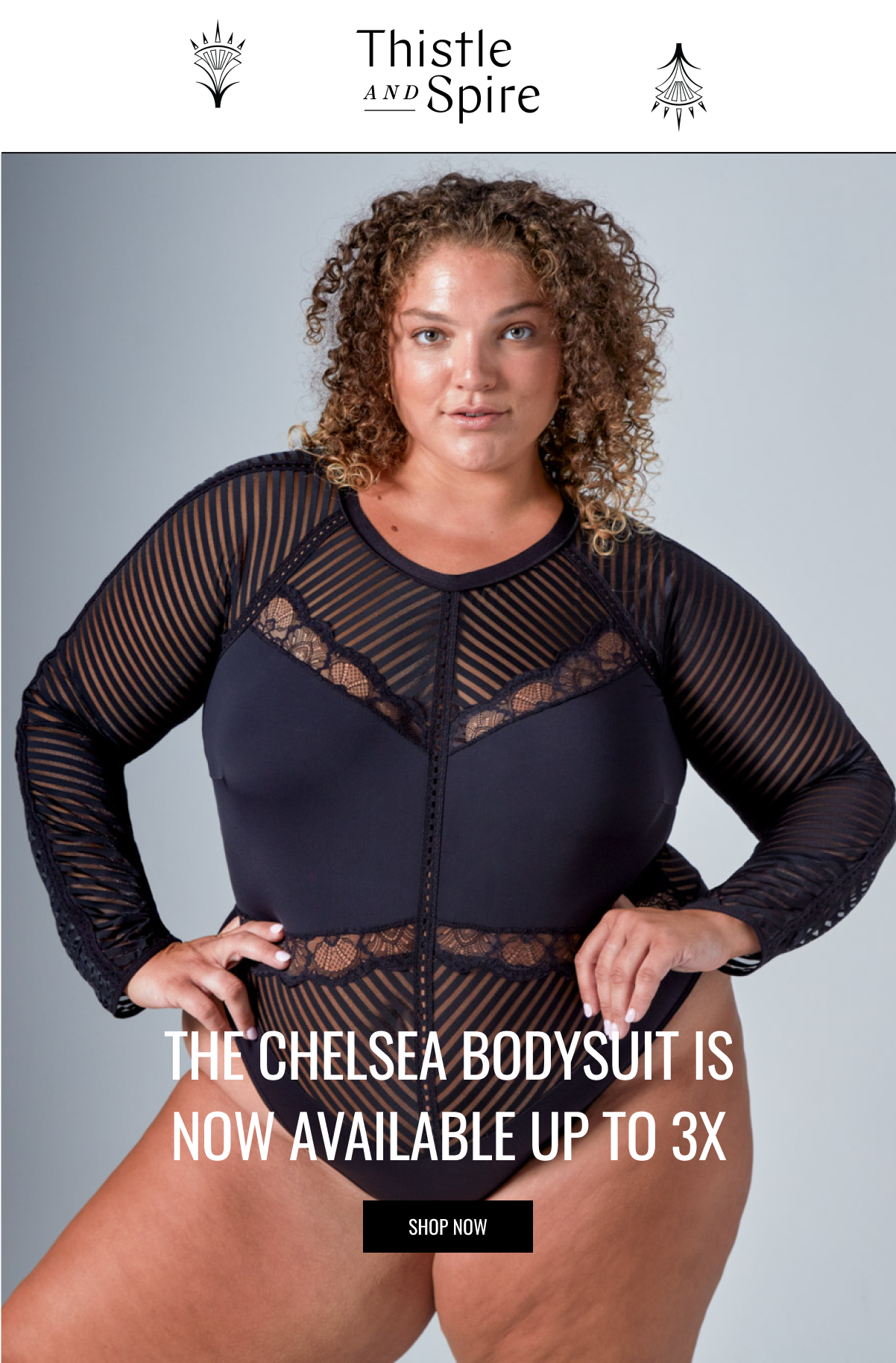 Thistle and Spire: The Chelsea Bodysuit Now Available Up To 3X