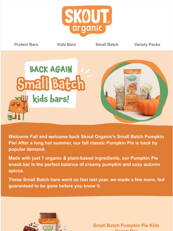 Skout Organic Peach Cobbler Kids Bar