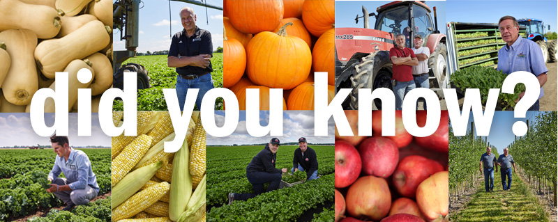 Did You Know?