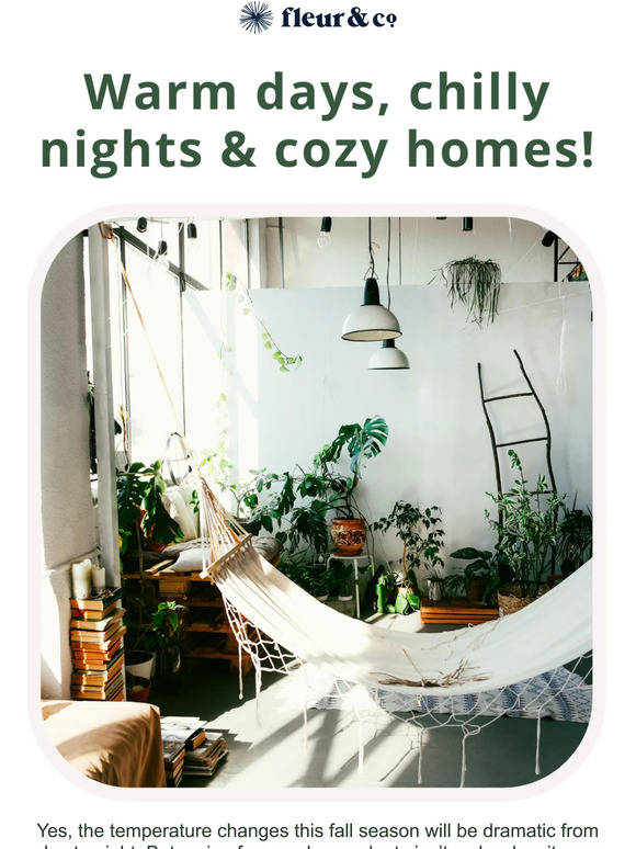 Easy-care plants this fall season! 💚