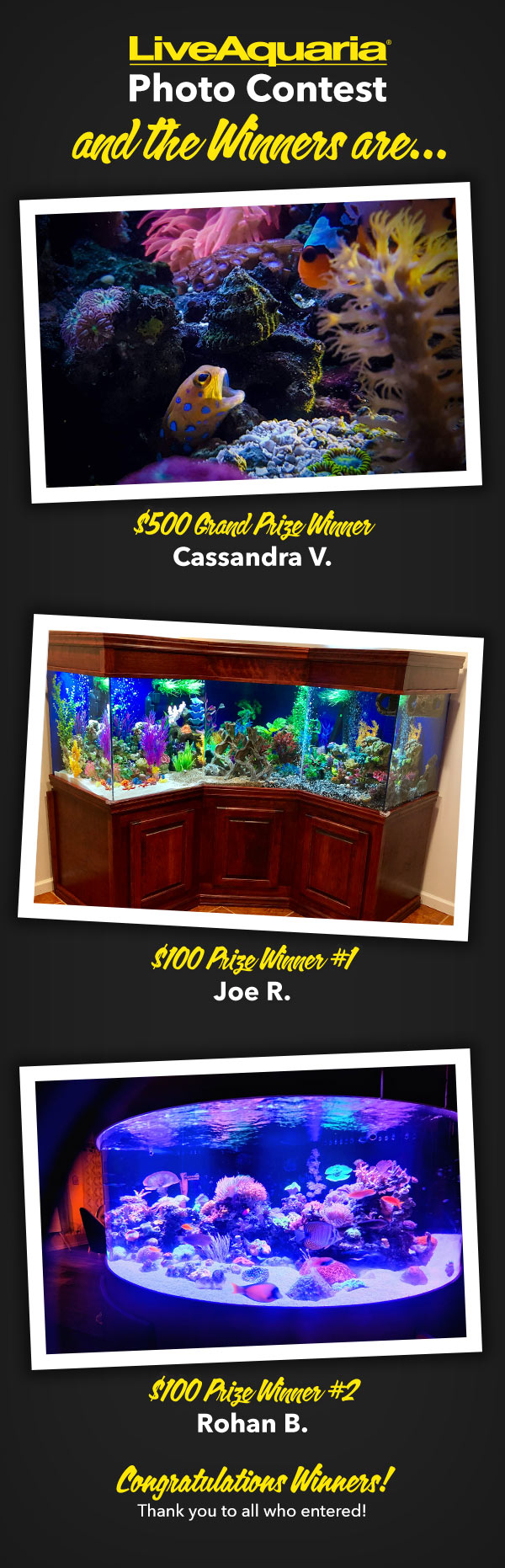 See the photos that received top votes in our Photo