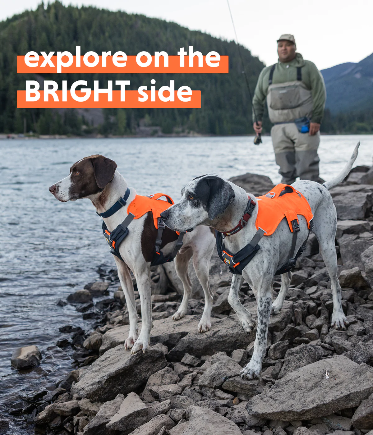 Ruffwear Bark After Dark High Vis Gear Milled