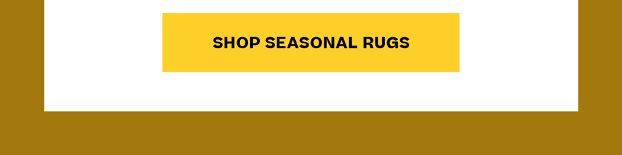 Shop Seasonal Rugs