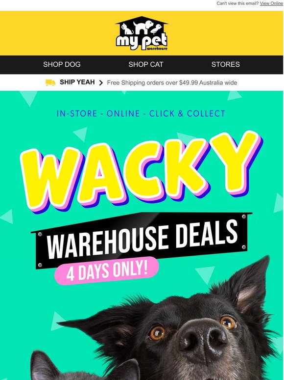 Get Your Wacky Warehouse Deals Today