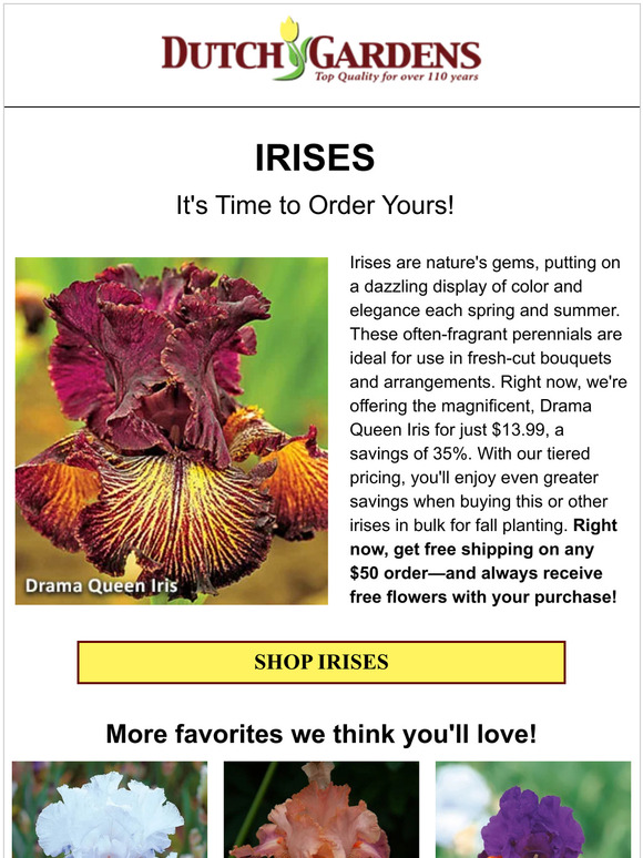 No garden is complete without some irises 😍