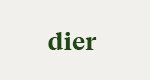 dier