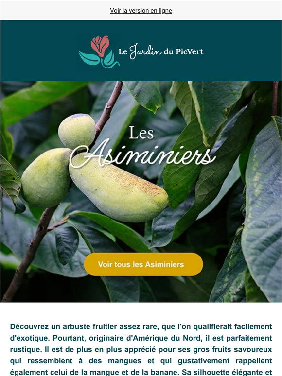 Sitemapcdatahttpsshopinf Inetcomarbre Fruitier 10 Lettres