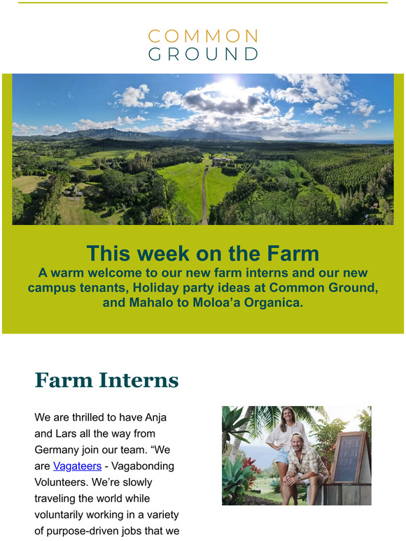This week on the Farm at Common Ground