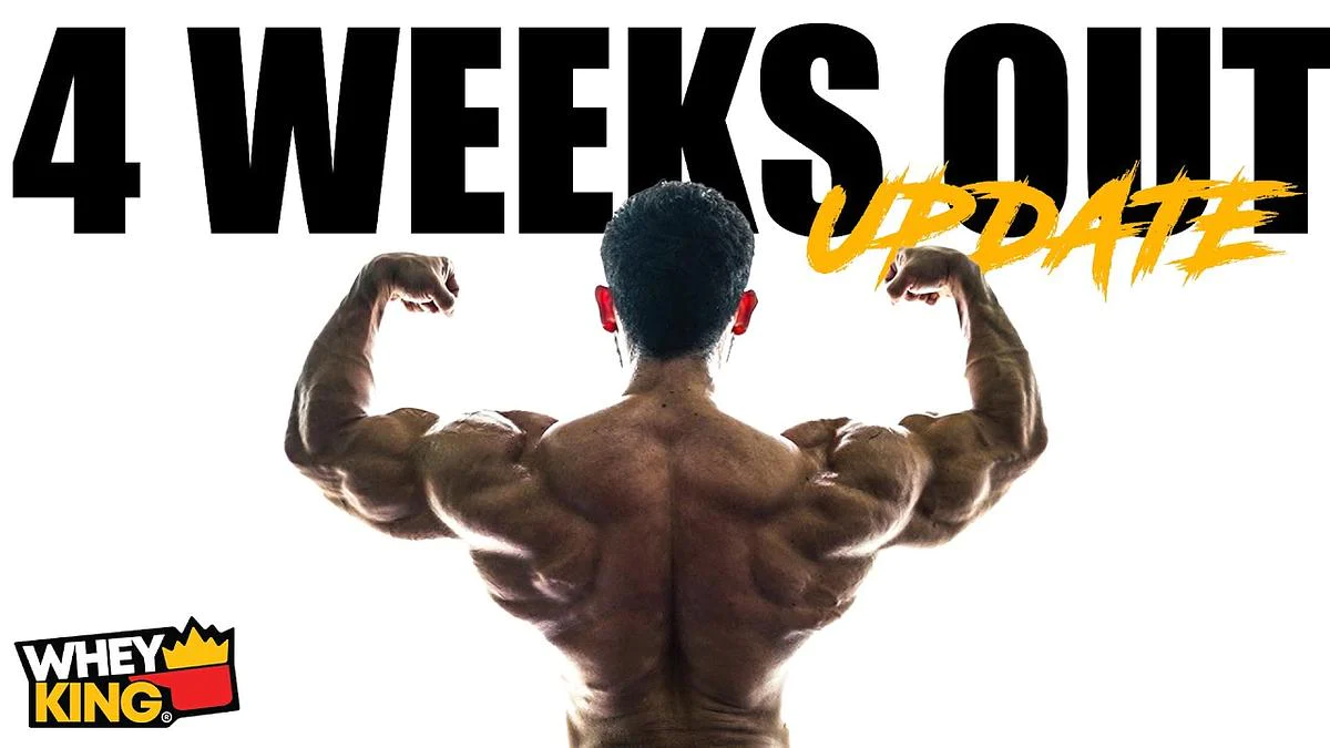 Whey King (CPS): ▷JOVEN SAGABAIN 4 WEEKS OUT! ROAD TO MR. O! | Milled