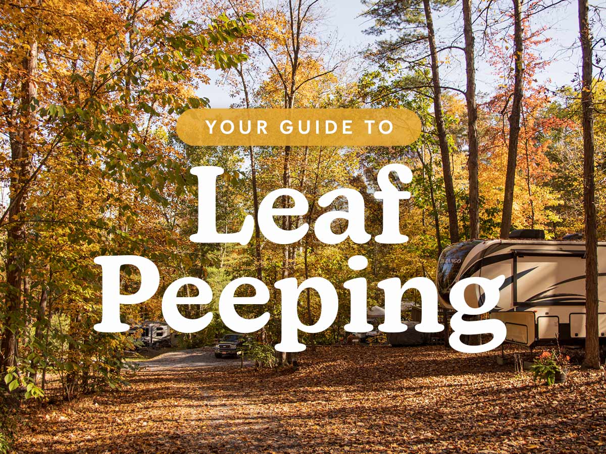 Campspot (US) Best Campgrounds for Fall Foliage 🍁 Milled