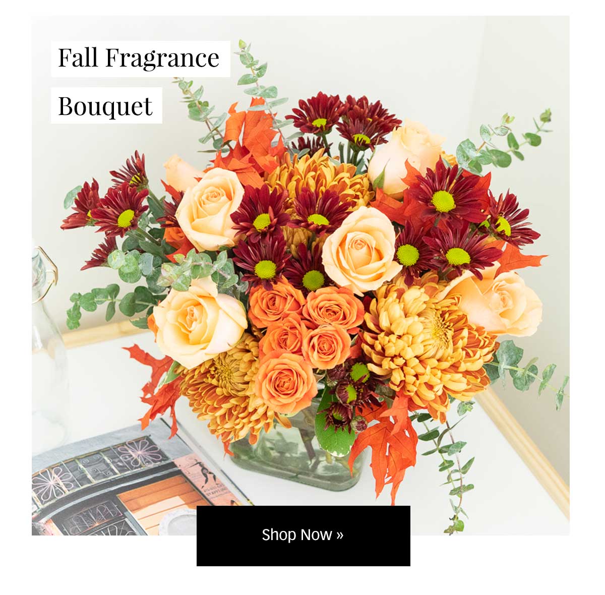 50 Off Roses and Savings On Our Fall Favorites