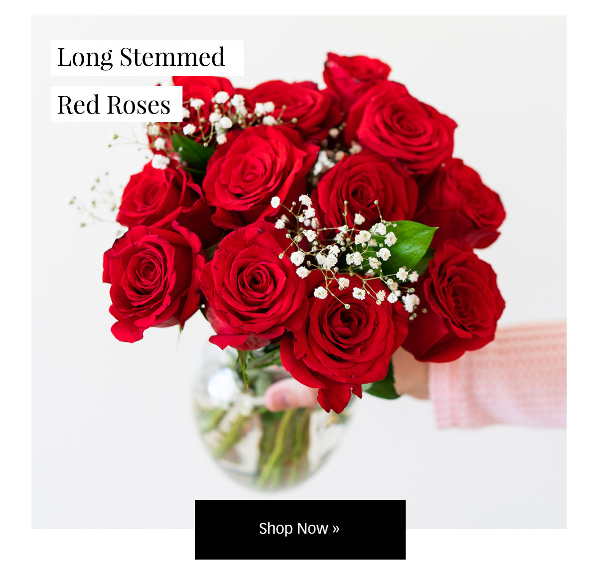 50 Off Roses and Savings On Our Fall Favorites