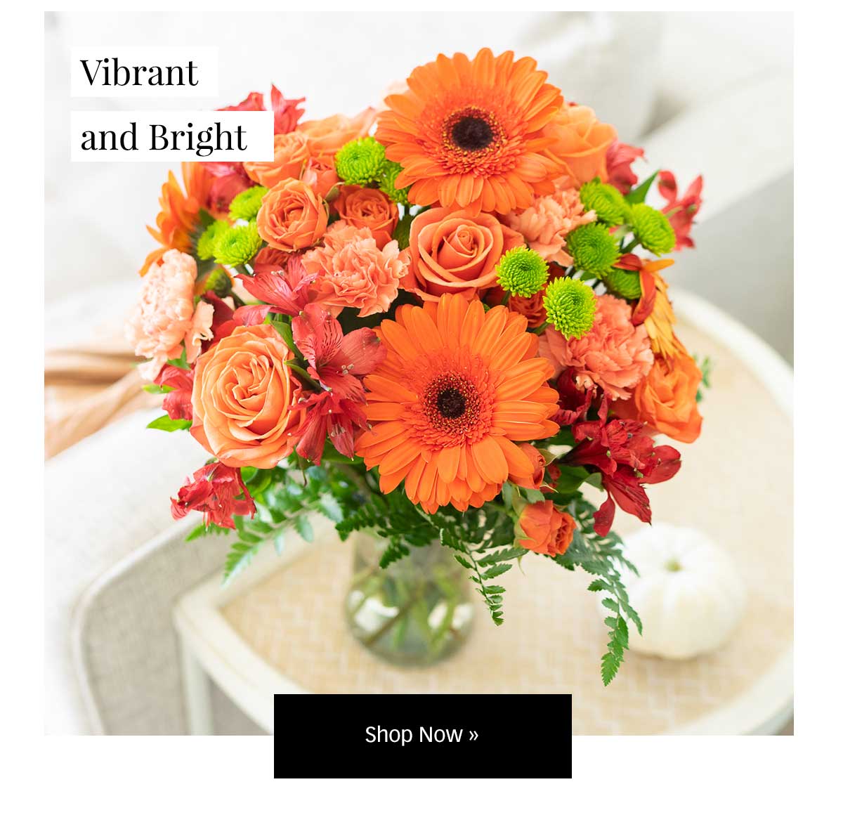 50 Off Roses and Savings On Our Fall Favorites! Milled