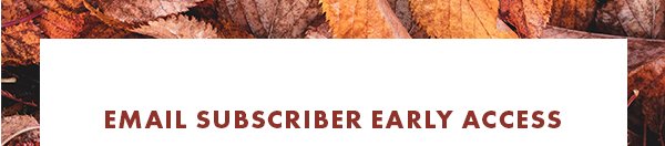 Email Subscriber Early Access