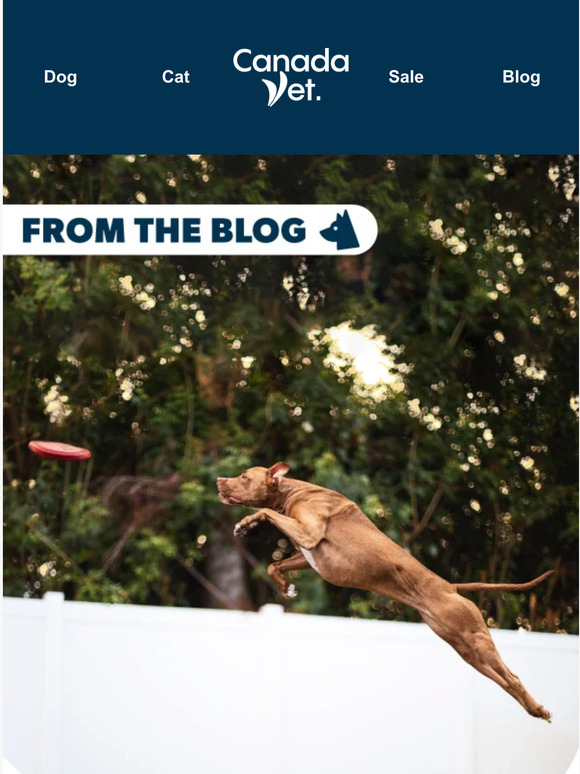 CanadaVet How to Reduce Joint Inflammation With Omega 3, 6, 9! 🔬🐕 Milled