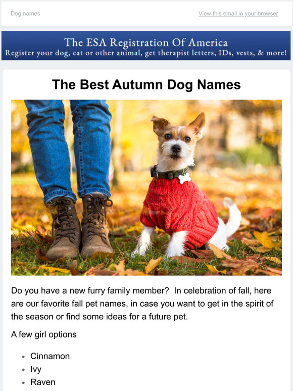 esa-registration-dog-names-inspired-by-autumn-milled