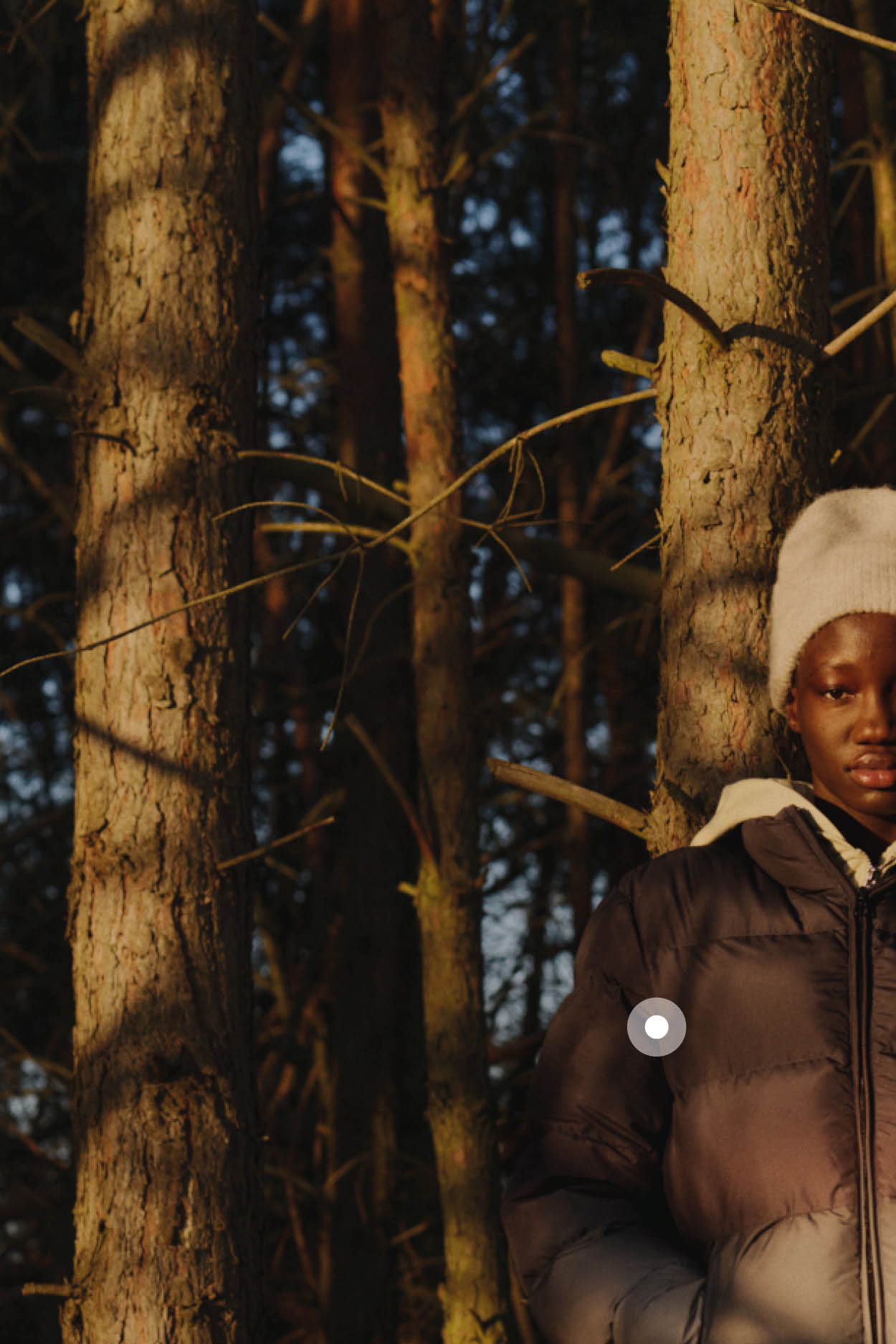 Sierra Supreme Printed Down Jacket in Ripstop