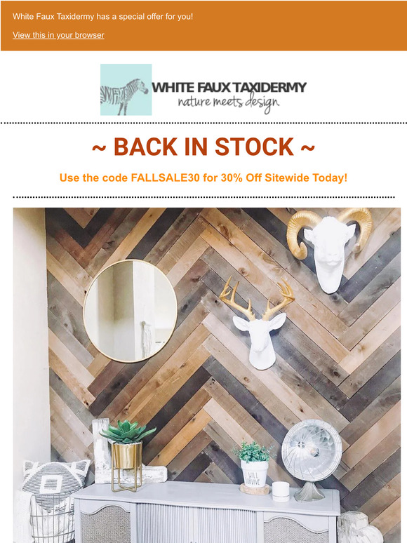 🍁 Back in Stock! Longhorn, Ram, Elephant & more