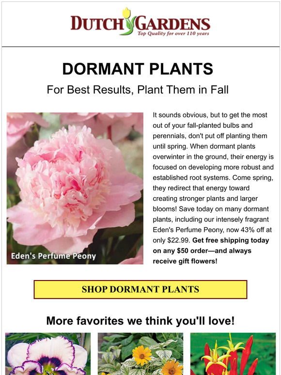 🧄 It’s beneficial to plant your garden in fall