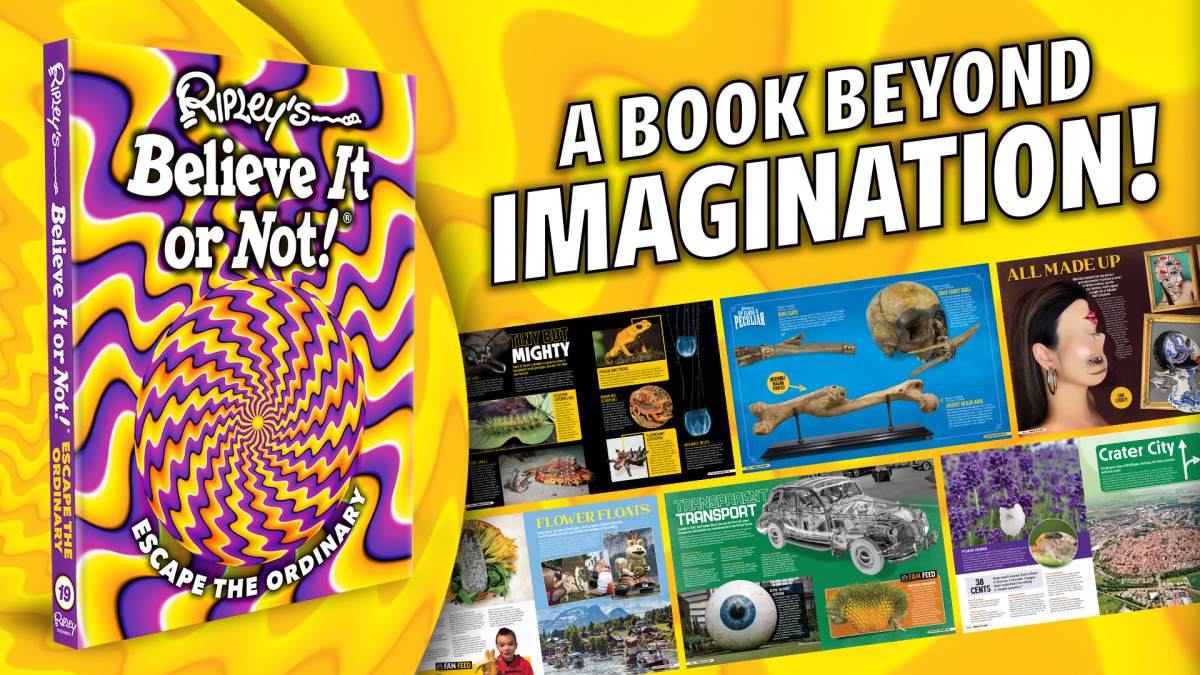 Ripley's Believe It or Not! Escape the Ordinary Book