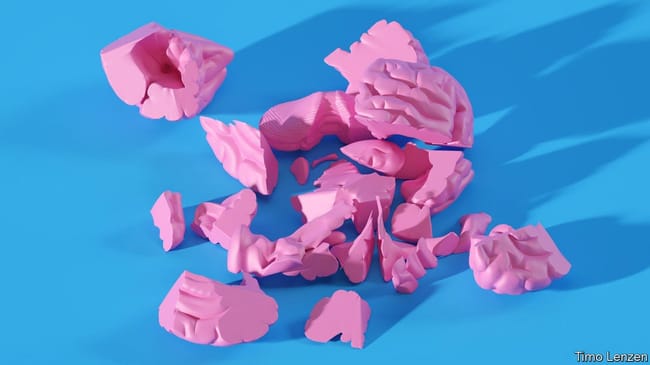 Image article 3