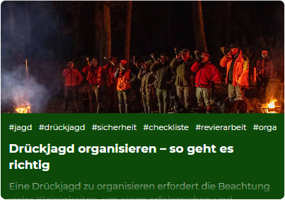 Drückjagd organisieren