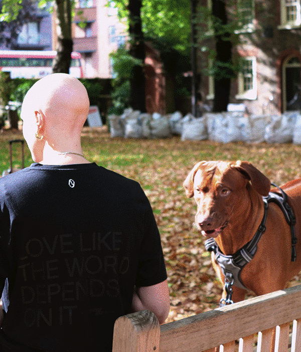 Hylo Three Types of Legacy Milled