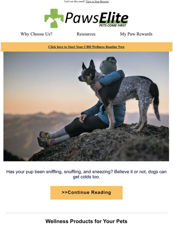 Find out how to help your dog sneeze less!