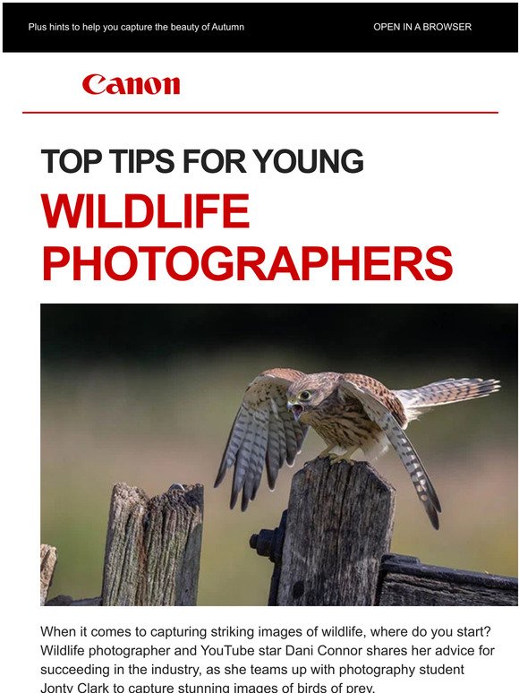 Top tips for young wildlife photographers