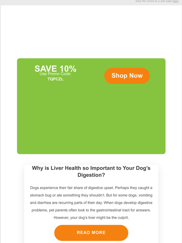 Pet Wellbeing Inc. Why is Liver Health so Important to Your Dog’s