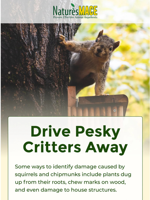 Nature's Mace Prevent damage done by pesky critters Milled