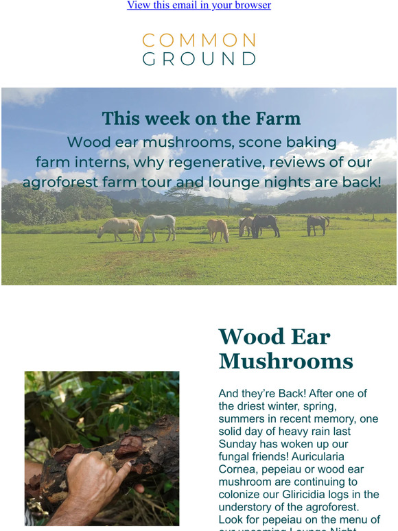 On the Farm at Common Ground