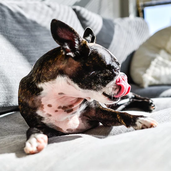 Martha Stewart How to Make Your Glass Shower Door Sparkle Milled